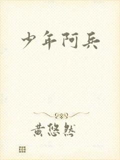 少年阿兵封面