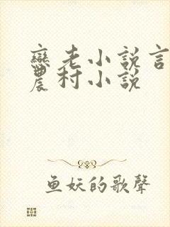 恋老小说言情网农村小说封面