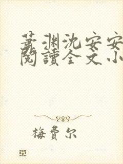 萧渊沈安安免费阅读全文小说