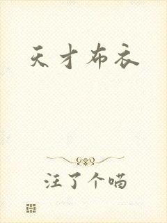 天才布衣封面