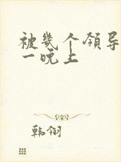 被几个领导玩弄一晚上