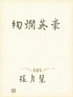 绚烂英豪封面