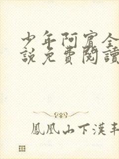 少年阿宾全文小说免费阅读笔趣阁