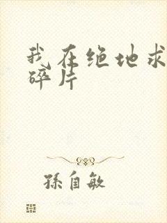 我在绝地求生捡碎片