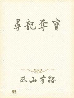 寻龙夺宝