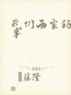 我们两家的荒唐事封面