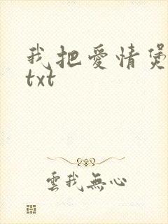 我把爱情煲成汤txt