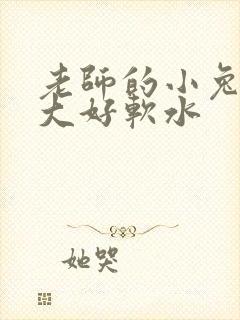 老师的小兔子好大好软水