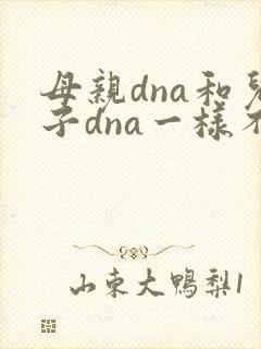 母亲dna和儿子dna一样不