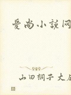 爱尚小说网