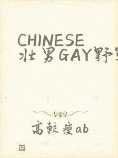 CHINESE壮男GAY野战强迫TUBE