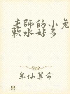 老师的小兔子好软水好多