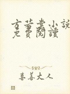 方若棠小说全文免费阅读封面