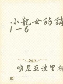 小龙女的销魂夜1一6封面