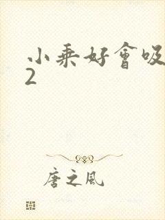 小乘好会吸1V2封面