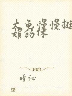 大龟慢慢挺进张娟的休封面