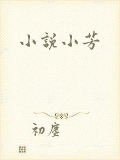 小说小芳