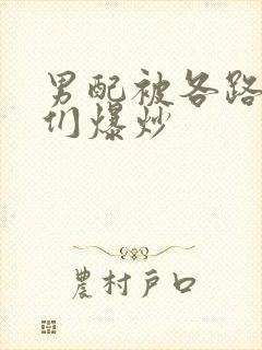 男配被各路大佬们爆炒