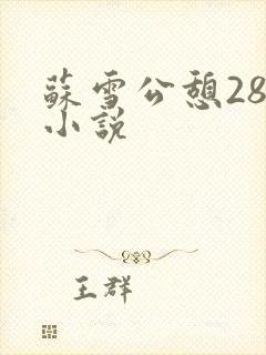 苏雪公憩28篇小说封面