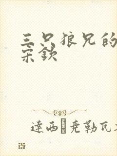 三只狼兄的宠妻宋钦