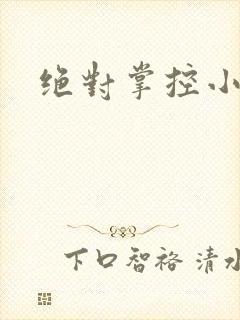 绝对掌控小说