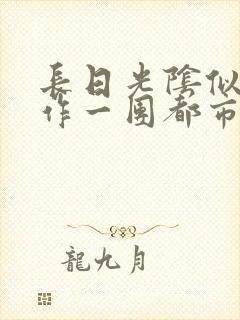 长日光阴似箭乱作一团都市言情