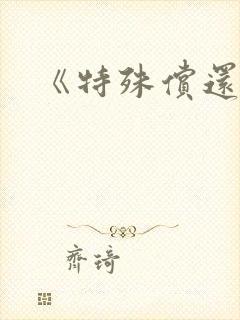 《特殊偿还》封面