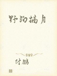 野狗摘月