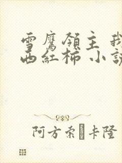 雪鹰领主 我吃西红柿 小说