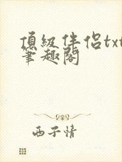 顶级伴侣txt笔趣阁