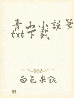 青山小说笔趣阁txt下载