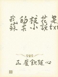 我的校花是福姬苏柔小说txt