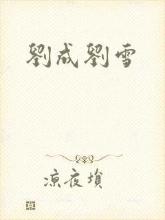 刘成刘雪封面