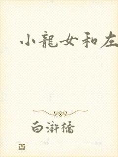 小龙女和左剑清封面