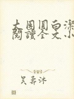 大团圆白洁免费阅读全文小说