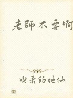 老师不要啊h封面