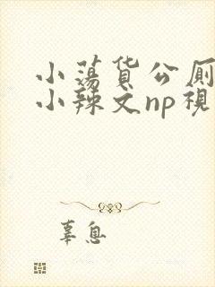 小荡货公厕h文小辣文np视频