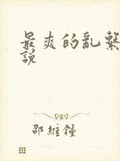 最爽的乱系列小说