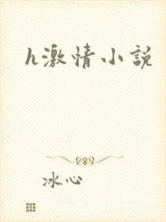 h激情小说