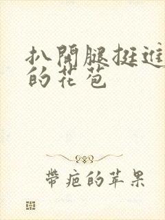 扒开腿挺进湿润的花苞