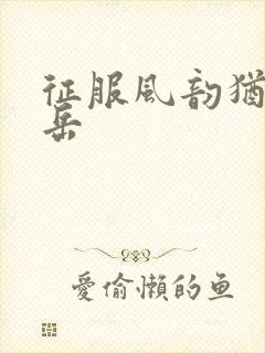 征服风韵犹存的岳封面