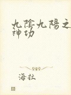 九阴九阳之阴阳神功封面