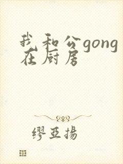 我和公gong在厨房