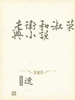 老卫和淑荣的经典小说