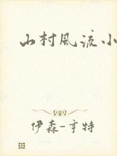 山村风流小说封面