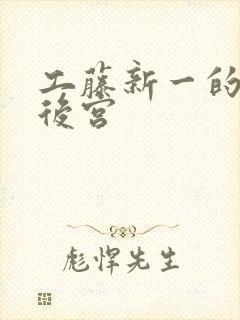 工藤新一的日本后宫