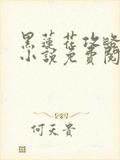 黑莲花攻略手册小说免费阅读全文封面