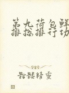 第九荷包鲜辣肉排总排行功能介绍