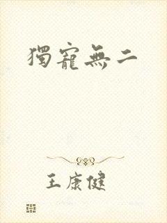 独宠无二封面