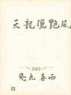 天龙猎艳风流